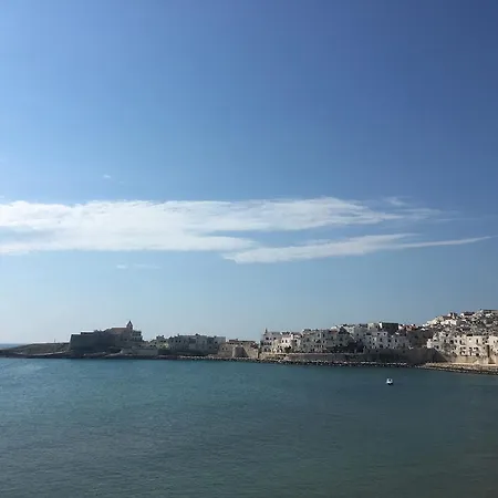 Adive Hotel Vieste